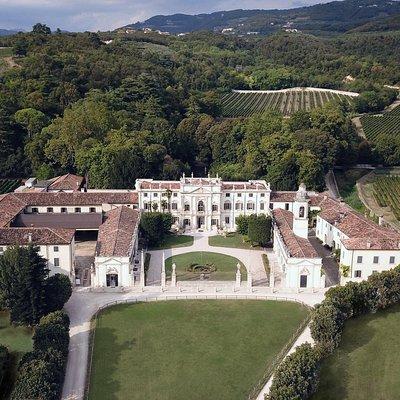 The Amarone Chateau guided tour and tasting in Valpolicella