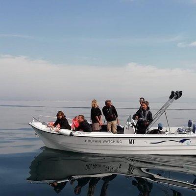 Small Group Dolphin and Wildlife Watching Tour in Faro