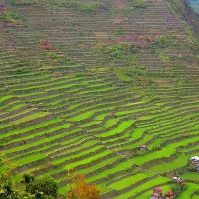 Banaue Rice Terraces Escape: 3 Days, 2 Nights with Transfers
