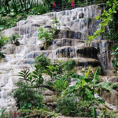 Konoko Falls and Garden Tour from Port Anotonio
