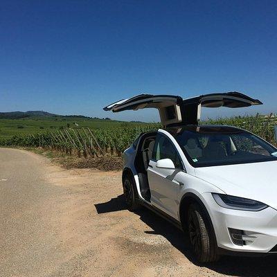 Alsace Tour : Wine Tasting, Villages & Castle Visits with friendly Tesla driver