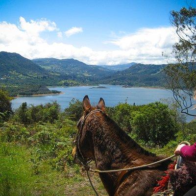 Andes Mountains Horseback Riding