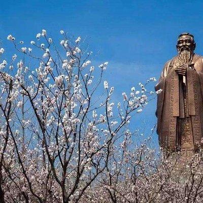 Qufu Private Tour to Confucius Temple, Family Mansion, Cemetery and Ni Mountain