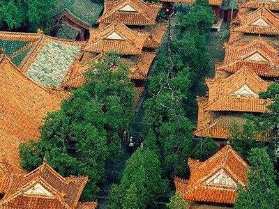 Private Qufu Day Tour from Jinan: Confucius Temple, Family Mansion and Cemetery