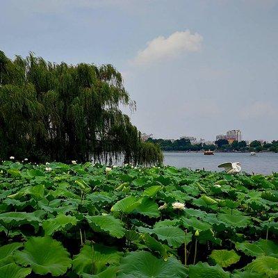 Flexible Jinan City Highlights Private Day Tour with Lunch