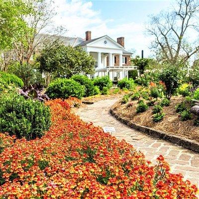 Boone Hall Plantation All-Access Admission Ticket