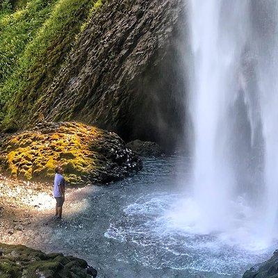 Half-Day Columbia River Gorge and Waterfall Hiking Tour