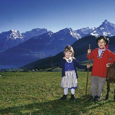 Heidiland and Liechtenstein Tour from Zurich