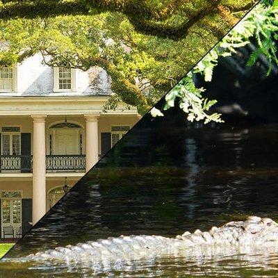 Oak Alley Plantation and Swamp Boat Tour from New Orleans