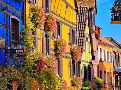 Alsace villages half day tour from Colmar