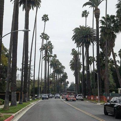4 Hour Private Tour of Hollywood and Beverly Hills from Santa Monica or Downtown
