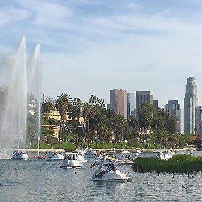 Swan Boat Rental in Echo Park