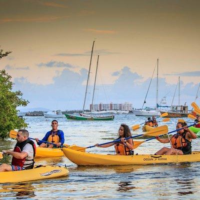 Bio Bay Night Kayak Tour with Transport from San Juan