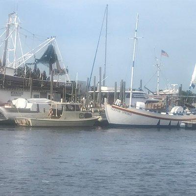 Sponge Dock Stroll