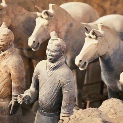 Zhengzhou Private Trip to Xi'an Terracotta Warriors & City Wall by Bullet Train 