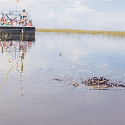 Florida Everglades Airboat Adventure and Wildlife Encounter