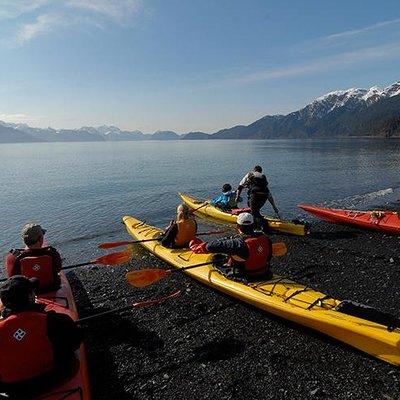 Resurrection Bay Kayaking Adventure