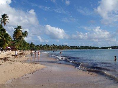 Salines Beach with a Rum-Distillery Stop 