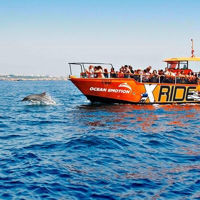 Dolphin Watching and Caves Cruise