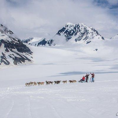 Helicopter and Glacier Dog Sledding Tour from Seward