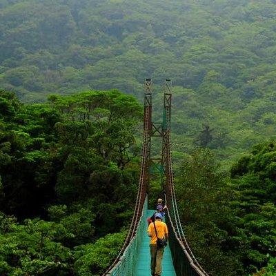 Monteverde Cloud Forest Hanging Bridges