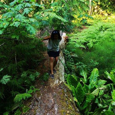 Vancouver Island Rainforest Guided Hike with Private Guide