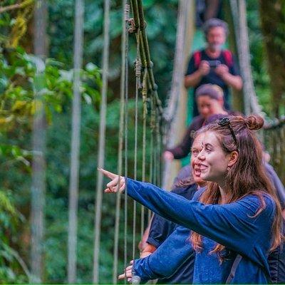 Tropical Rainforest, Hanging Bridges And Jungle Sloths Sanctuary