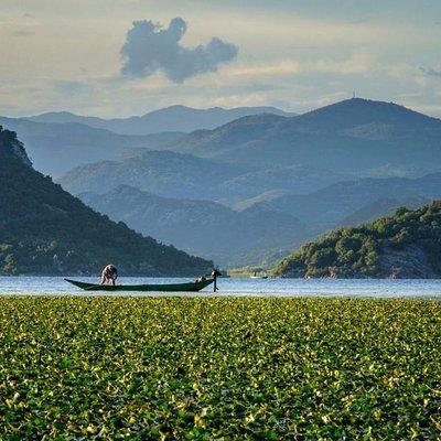 Skadar lake boat ride through "Montenegrin Amazon", wine tasting & Niagara falls