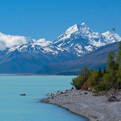 Explore Mount Cook from Christchurch