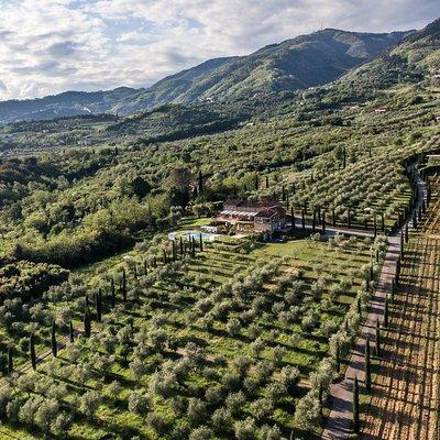  Wine and olive oil tasting & farm tour