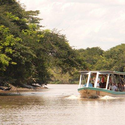 Palo Verde National Park River Safari Boat Tour