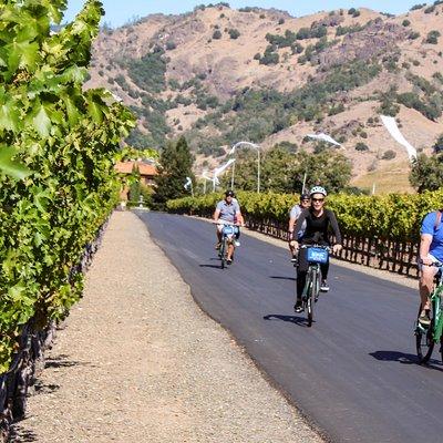 Calistoga Country Bike and Wine Tasting Tour