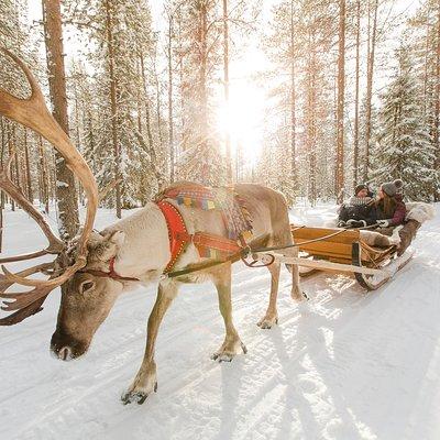 Lapland Reindeer and Husky Safari from Rovaniemi