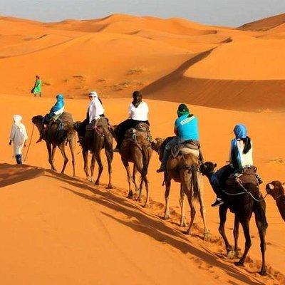 Camel ride in Tanger