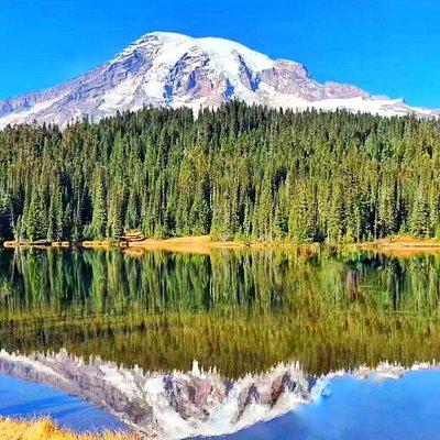 Mount Rainier National Park Day Tour from Seattle 