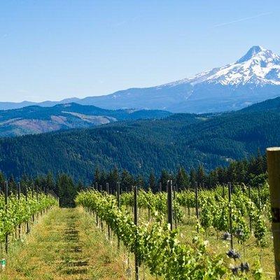 Mt. Hood/Gorge Waterfall Loop from Portland