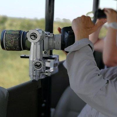 1 Day Skukuza Wildlife Photographic Safari - Kruger National Park