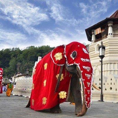 All Inclusive Kandy Private Day Tour From Colombo and Negombo