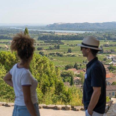 Afternoon Wine Tour to Chateauneuf du Pape from Avignon