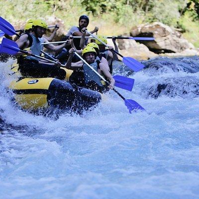 Full-day Tara River White Water Rafting Tour from Kotor