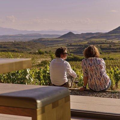 Wine Tour: 2 Wineries From Logroño