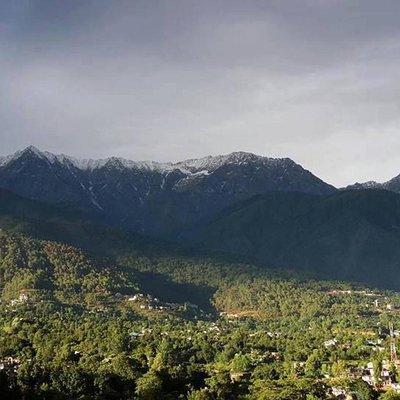 Camping in Manali, Himachal Pradesh 