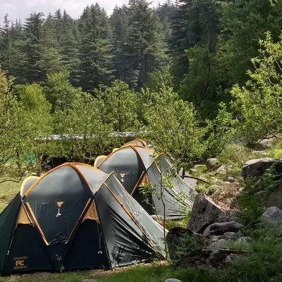 Camping in Manali 