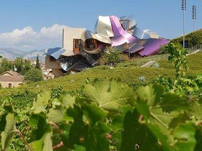 Rioja Wine Tour: 2 Wineries From Pamplona