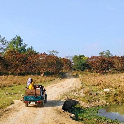 Tour of Pobitora Wildlife Sanctuary from Guwahati with Safari, Lunch and Guide