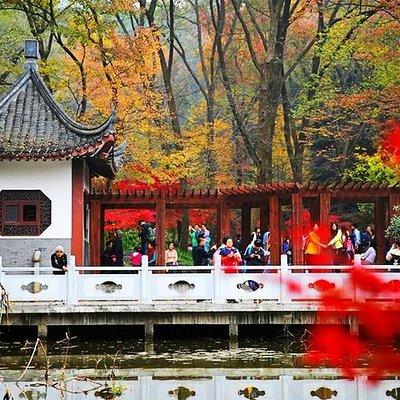 Nanjing Purple Mountain Private Tour with Tangshan Hot Spring Spa Experience