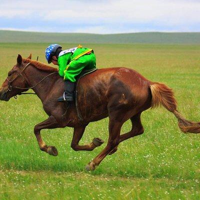 2 Days Naadam Festival 2020