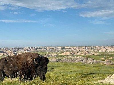 Private Badlands National Park Day Tour 