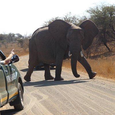 7 Day Classic Kruger National Park Safari
