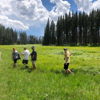 Private Hidden Gems of Yellowstone! Lunch w/ family friendly hikes included!